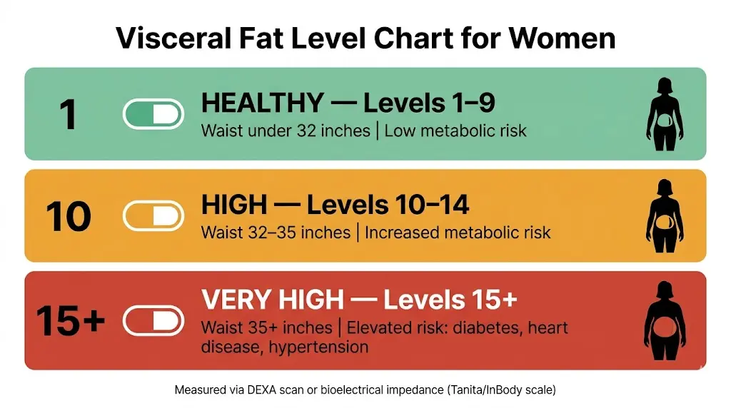 visceral-fat-level-chart-for-women